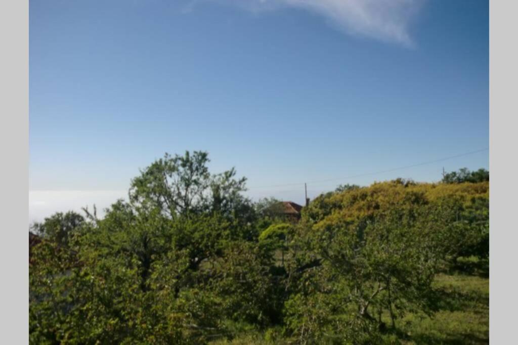Casa Corea 2 Puntagorda エクステリア 写真