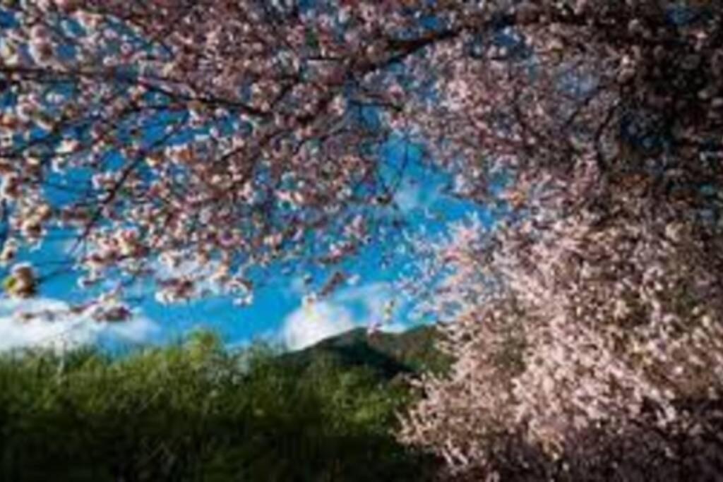 Casa Corea 2 Puntagorda エクステリア 写真